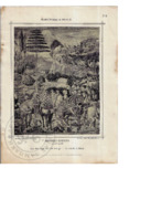 Col-0000-141-o.pdf